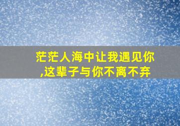 茫茫人海中让我遇见你,这辈子与你不离不弃