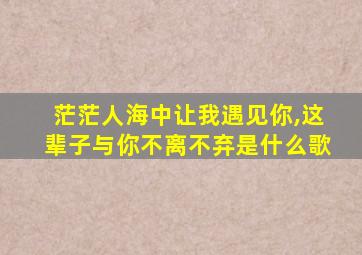 茫茫人海中让我遇见你,这辈子与你不离不弃是什么歌