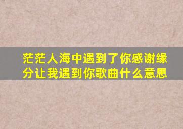 茫茫人海中遇到了你感谢缘分让我遇到你歌曲什么意思