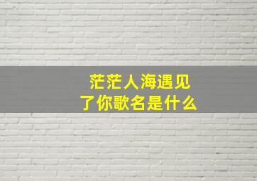 茫茫人海遇见了你歌名是什么