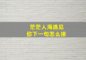 茫茫人海遇见你下一句怎么接