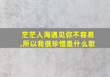 茫茫人海遇见你不容易,所以我很珍惜是什么歌