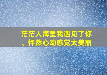 茫茫人海里我遇见了你、怦然心动感觉太美丽