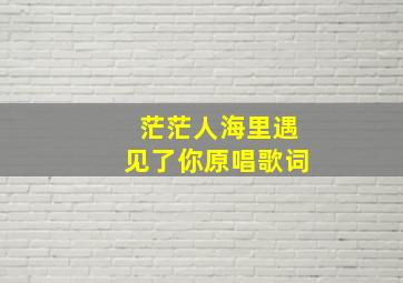 茫茫人海里遇见了你原唱歌词