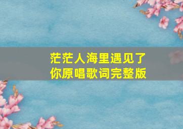 茫茫人海里遇见了你原唱歌词完整版