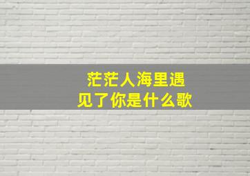 茫茫人海里遇见了你是什么歌