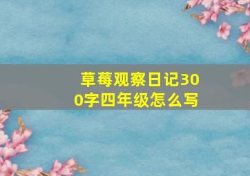 草莓观察日记300字四年级怎么写