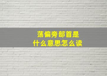 荡偏旁部首是什么意思怎么读