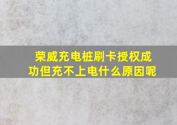 荣威充电桩刷卡授权成功但充不上电什么原因呢