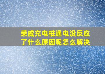 荣威充电桩通电没反应了什么原因呢怎么解决