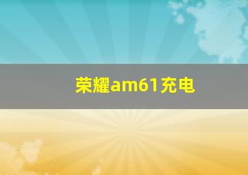 荣耀am61充电