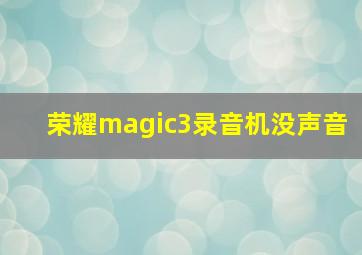 荣耀magic3录音机没声音