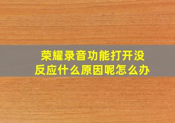 荣耀录音功能打开没反应什么原因呢怎么办