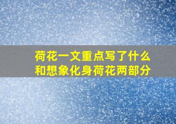 荷花一文重点写了什么和想象化身荷花两部分