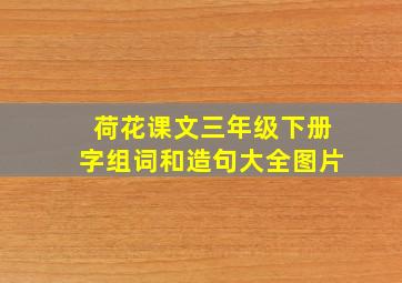 荷花课文三年级下册字组词和造句大全图片