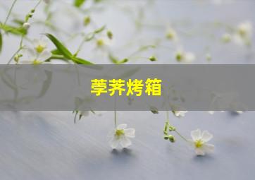 荸荠烤箱