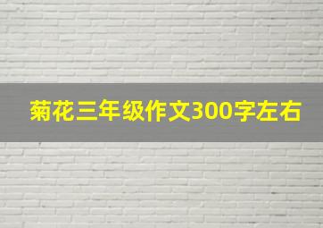 菊花三年级作文300字左右