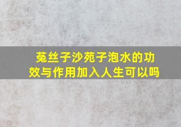 菟丝子沙苑子泡水的功效与作用加入人生可以吗