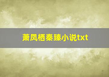 萧凤栖秦臻小说txt