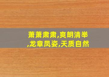 萧萧肃肃,爽朗清举,龙章凤姿,天质自然