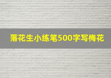 落花生小练笔500字写梅花