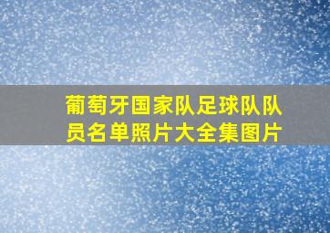 葡萄牙国家队足球队队员名单照片大全集图片