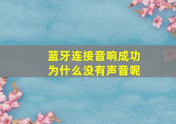 蓝牙连接音响成功为什么没有声音呢