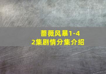 蔷薇风暴1-42集剧情分集介绍