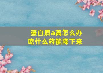 蛋白质a高怎么办吃什么药能降下来