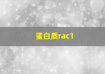 蛋白质rac1