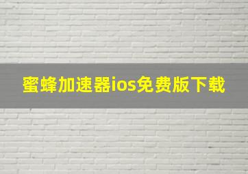 蜜蜂加速器ios免费版下载