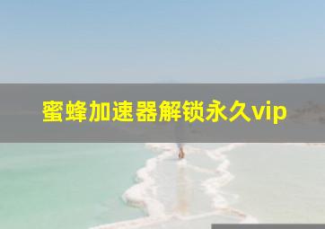 蜜蜂加速器解锁永久vip