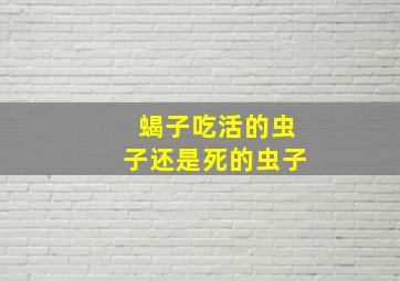 蝎子吃活的虫子还是死的虫子