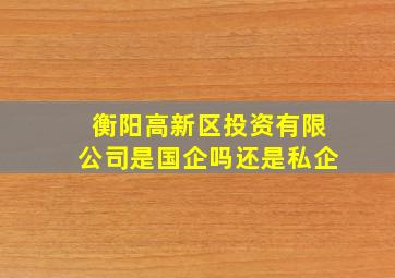 衡阳高新区投资有限公司是国企吗还是私企