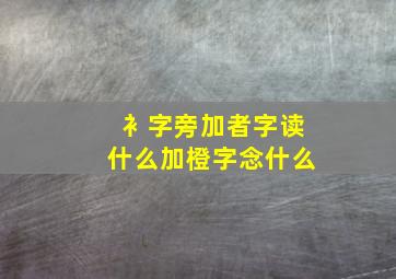 衤字旁加者字读什么加橙字念什么