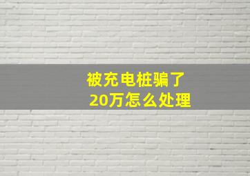 被充电桩骗了20万怎么处理