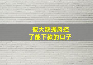 被大数据风控了能下款的口子