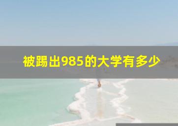 被踢出985的大学有多少