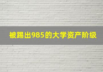 被踢出985的大学资产阶级