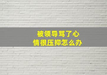 被领导骂了心情很压抑怎么办