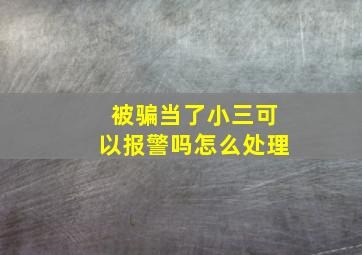 被骗当了小三可以报警吗怎么处理