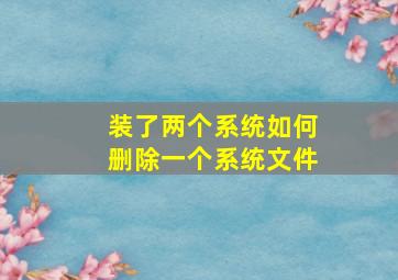 装了两个系统如何删除一个系统文件