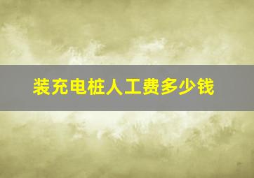 装充电桩人工费多少钱