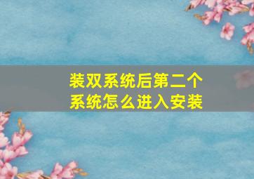 装双系统后第二个系统怎么进入安装