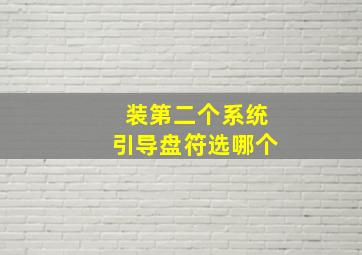 装第二个系统引导盘符选哪个