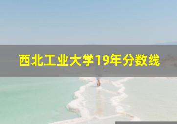 西北工业大学19年分数线