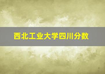 西北工业大学四川分数