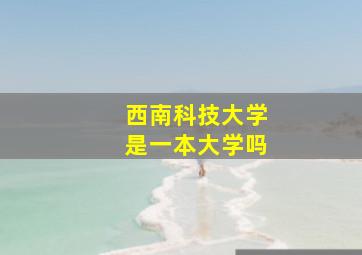 西南科技大学是一本大学吗