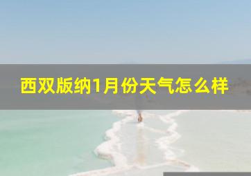 西双版纳1月份天气怎么样