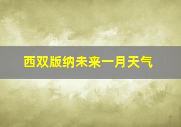 西双版纳未来一月天气